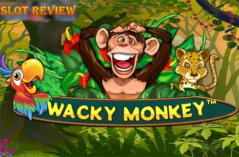 Wacky Monkey icon